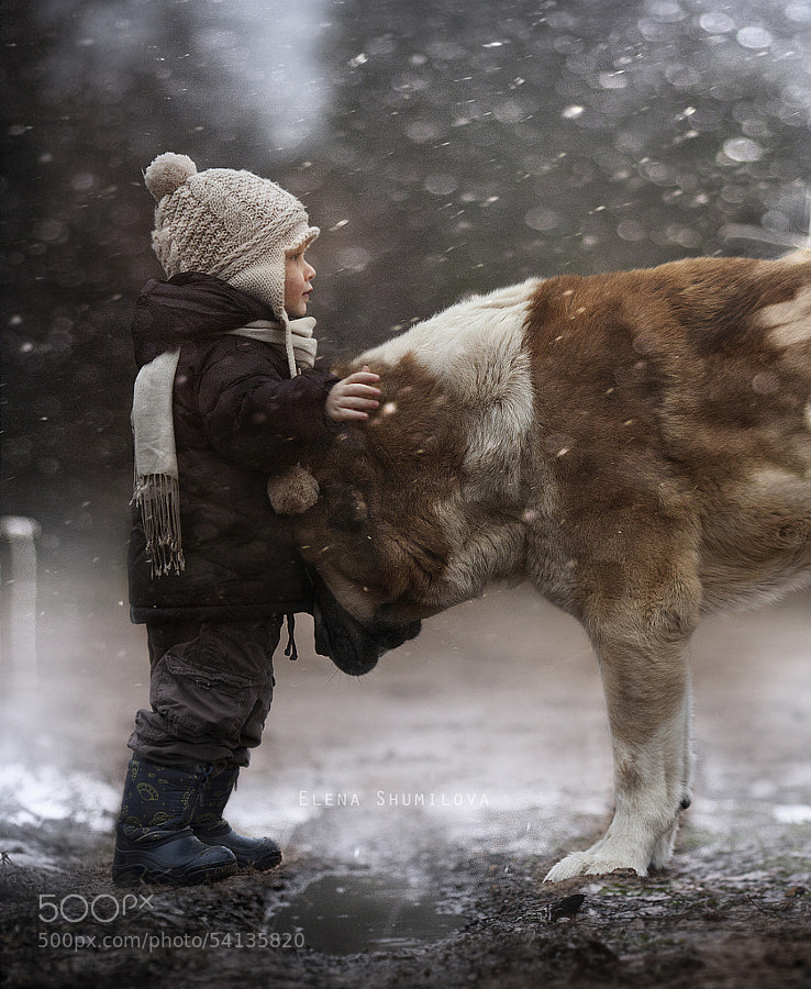 Winter photography - Photograph *** by Elena Shumilova on 500px