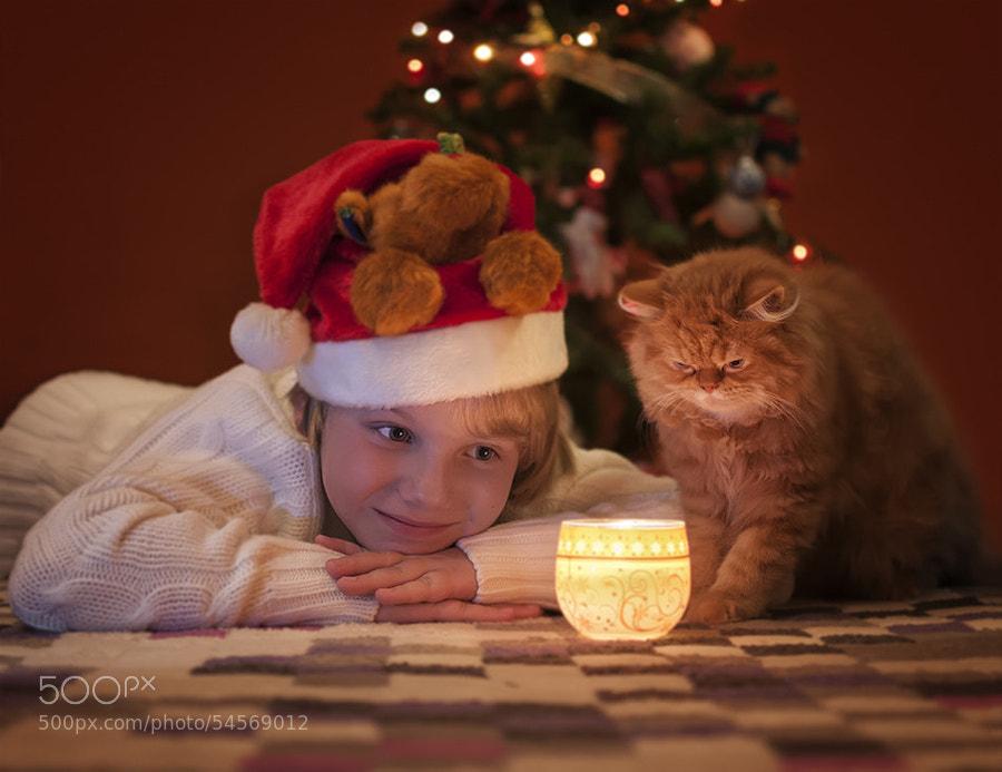 Photograph Christmas is coming by Maria Churkina on 500px