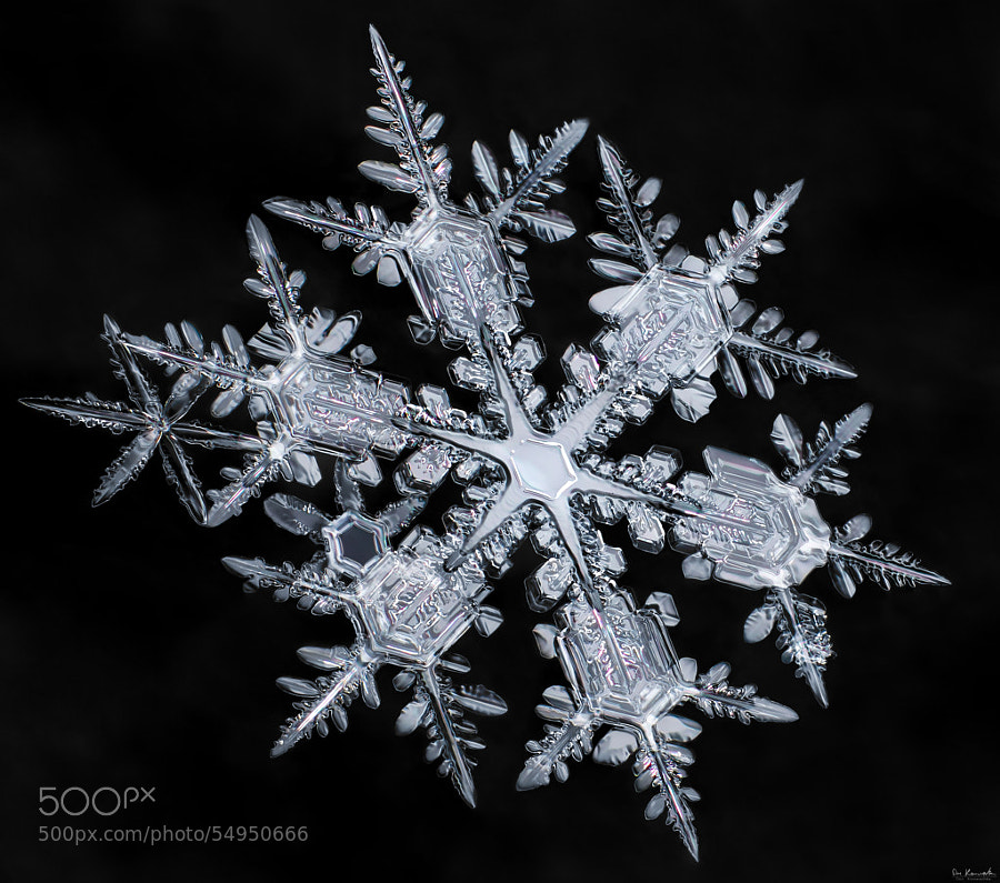 Photograph Starburst Snowflake by Don Komarechka on 500px
