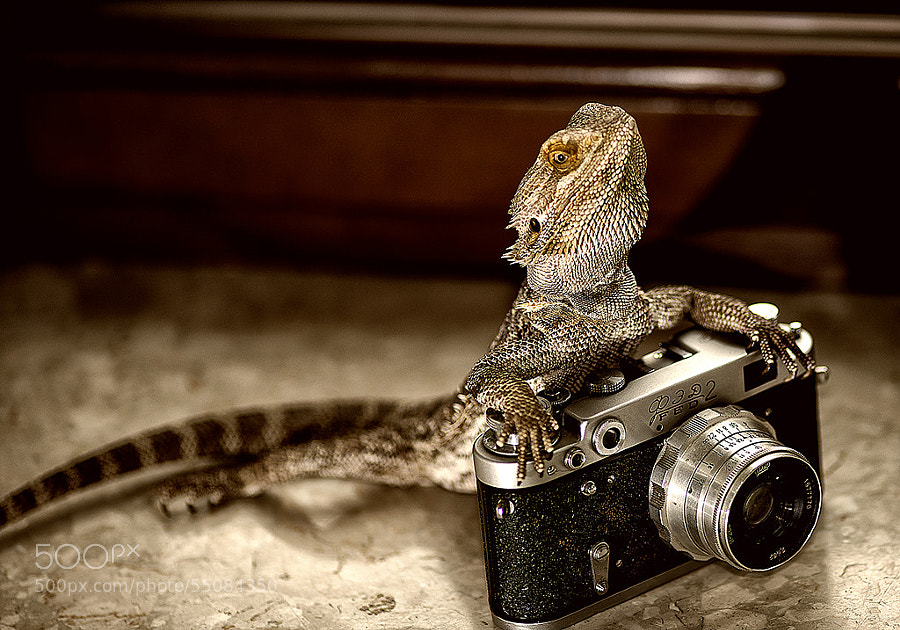 Photograph Rico and his camera by Gabriel Kosek on 500px