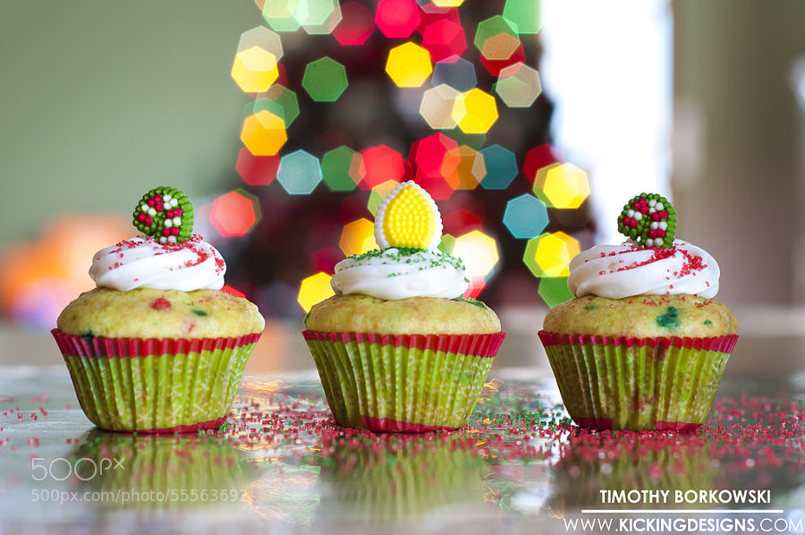 Photograph Christmas Cupcakes by Timothy Borkowski on 500px