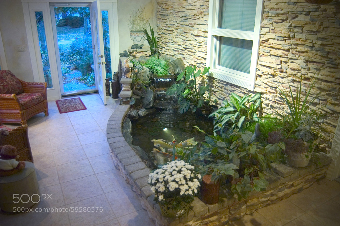 Indoor aquascapes - cover