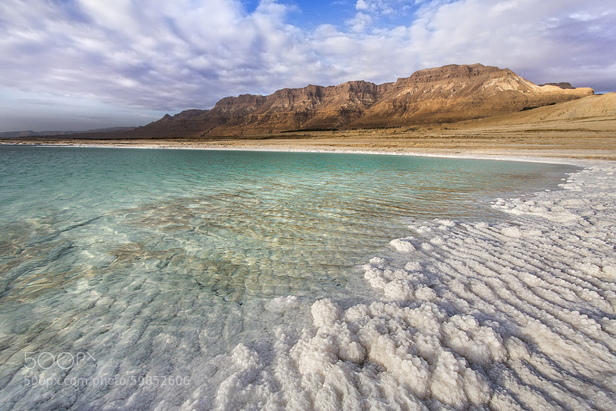 Photograph Dead Sea or tropical desert... by Tomer Razabi on 500px