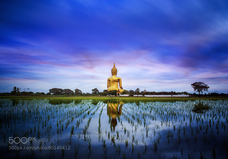 Photograph A biggest Buddha in Thailand by Anek S on 500px