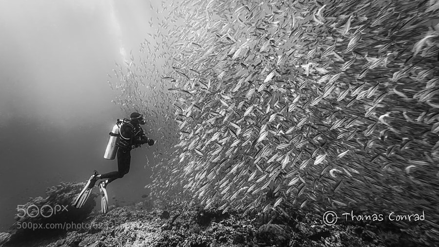 Photograph Got some fish b&w by Thomas Conrad  on 500px