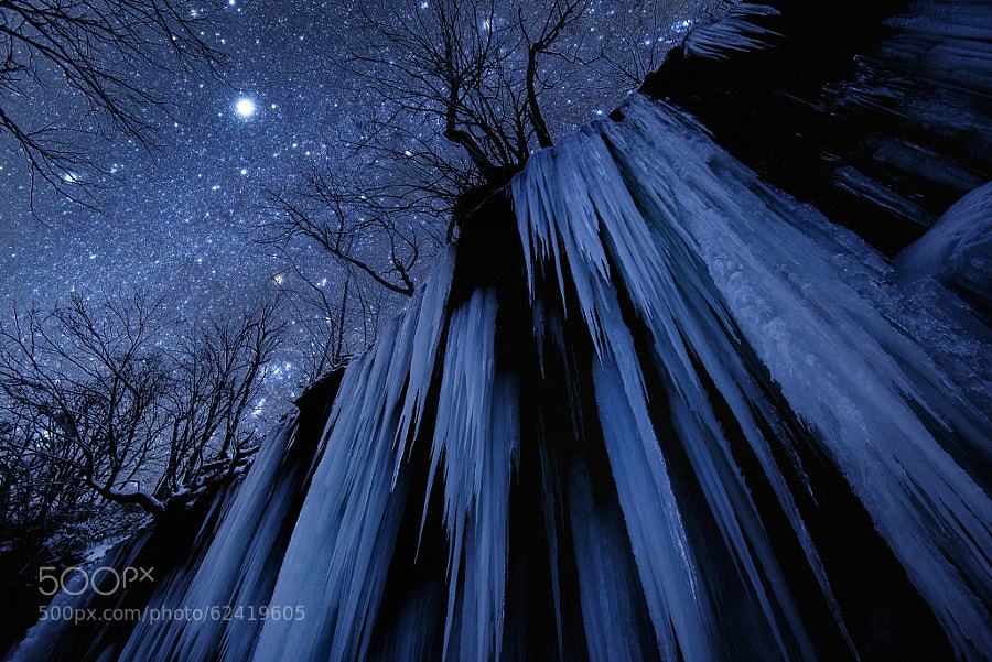 Photograph Freezing Cold Night by Takanobu Nushi on 500px