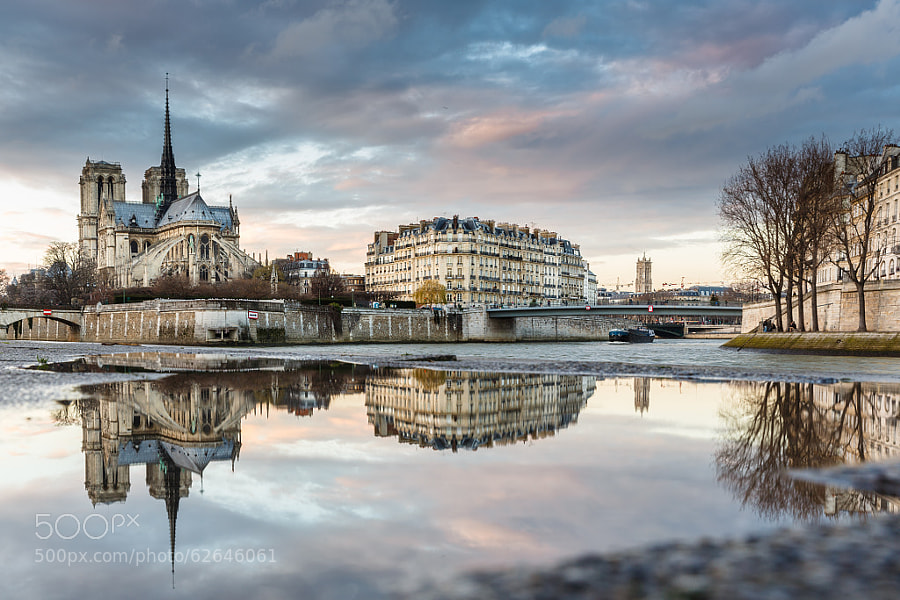 Photograph Puddle Mirror on Notre Dame de Paris by Loïc Lagarde on 500px