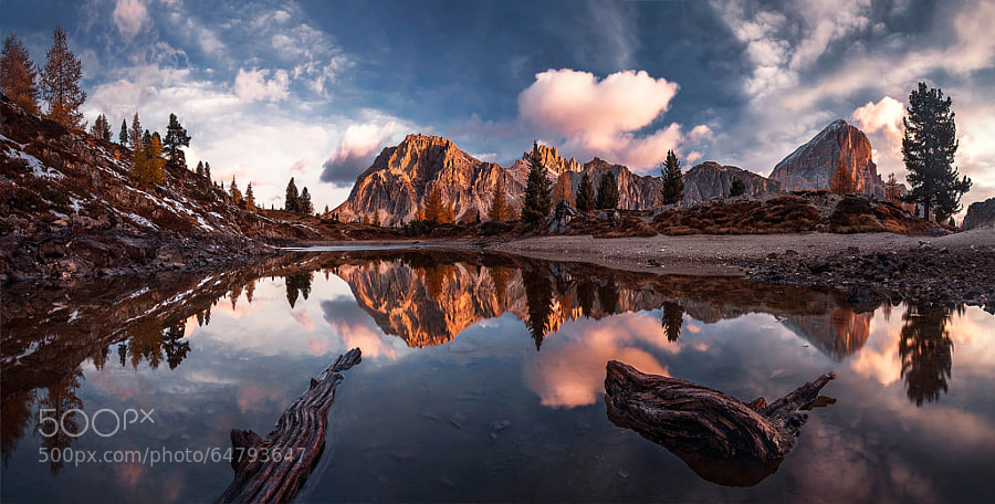 Photograph The Fallen and the Living by Max Rive on 500px
