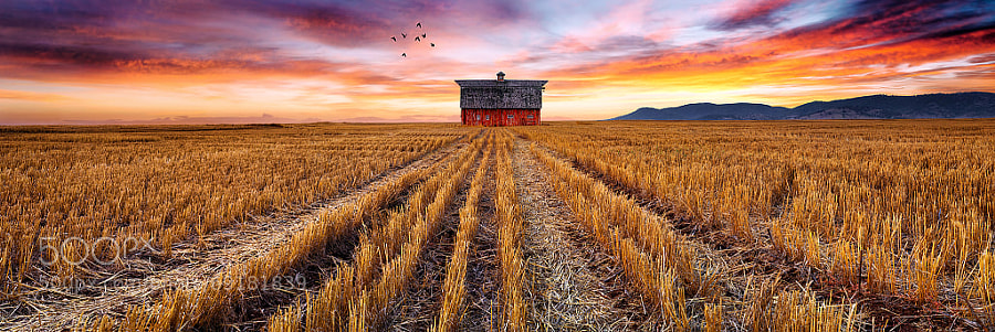 Photograph The Birds and the Barn by Bruce Hood on 500px