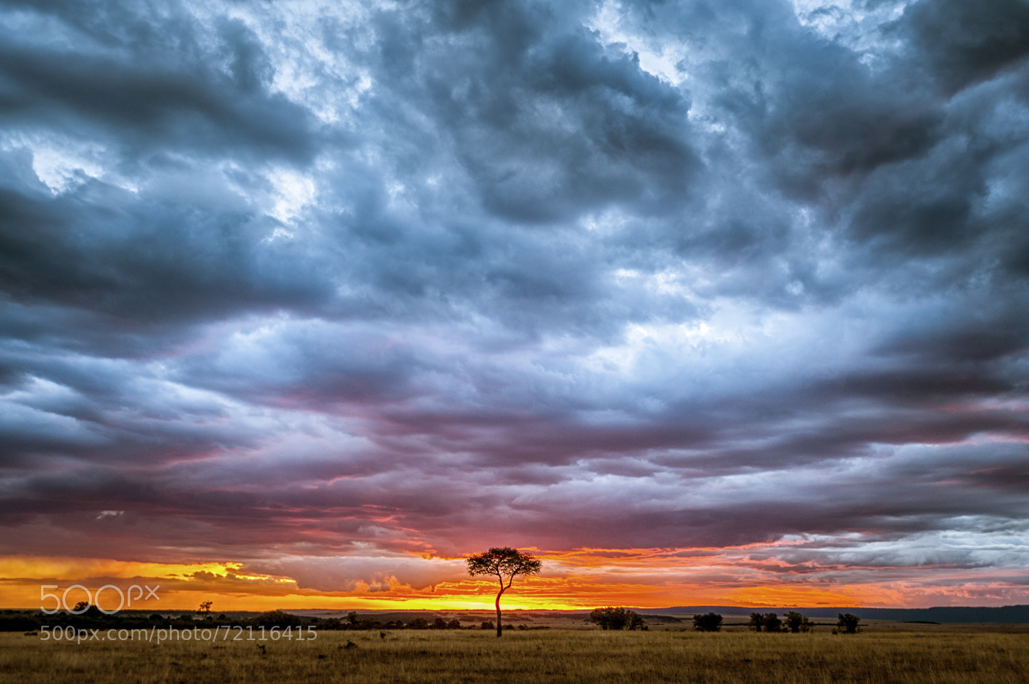 Photograph Mara Sunset by majed ali on 500px