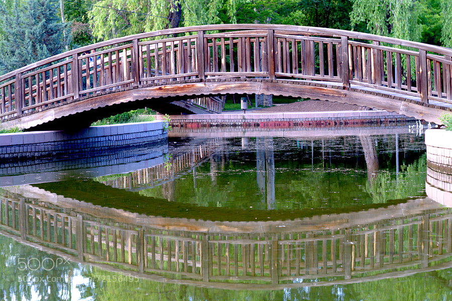 Photograph bridge by Selim Özköse on 500px