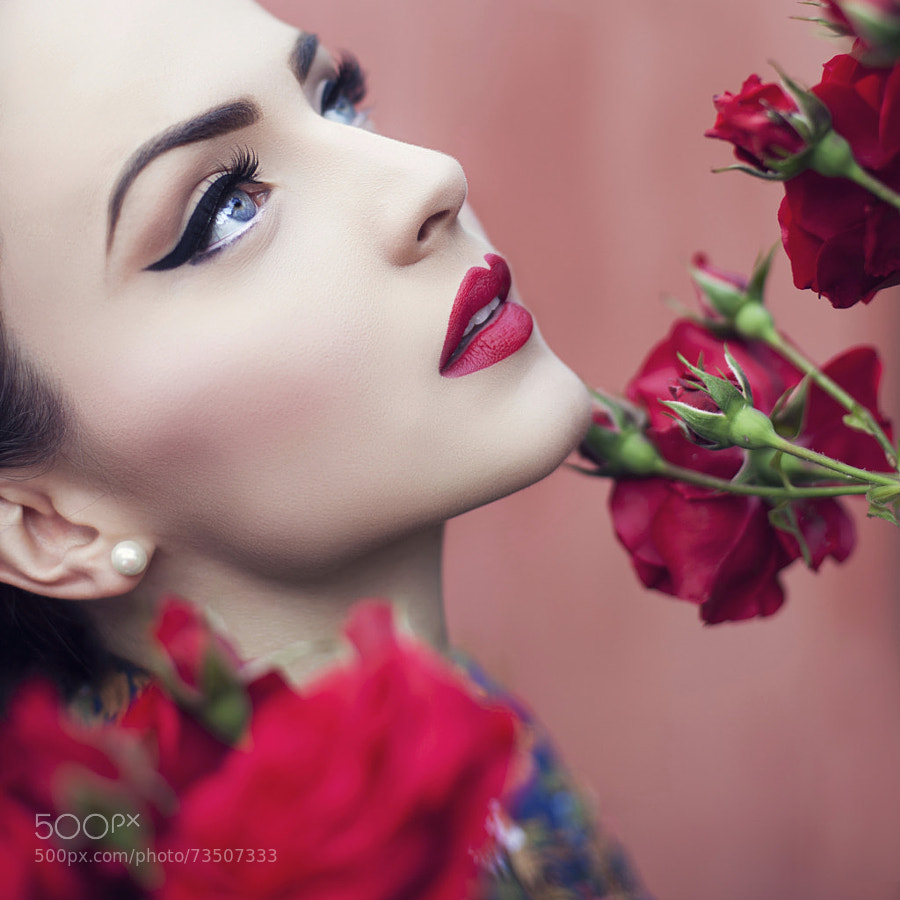 Photograph Red flowers by Maja Top?agi? on 500px