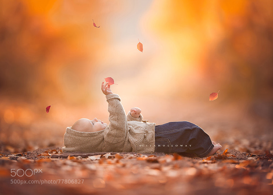 Photograph Age of Wonder by Lisa Holloway on 500px