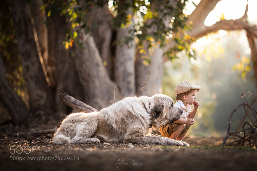 Photograph Best Friends by Adrian Murray on 500px
