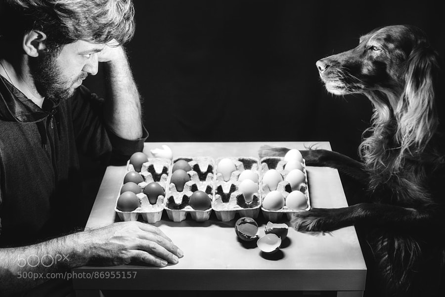 Photograph Chess Game by Konstantin Nabatnikov on 500px