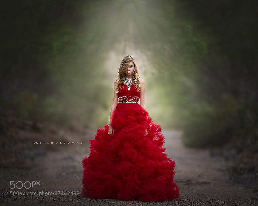 Photograph Scarlet Obsession by Lisa Holloway on 500px