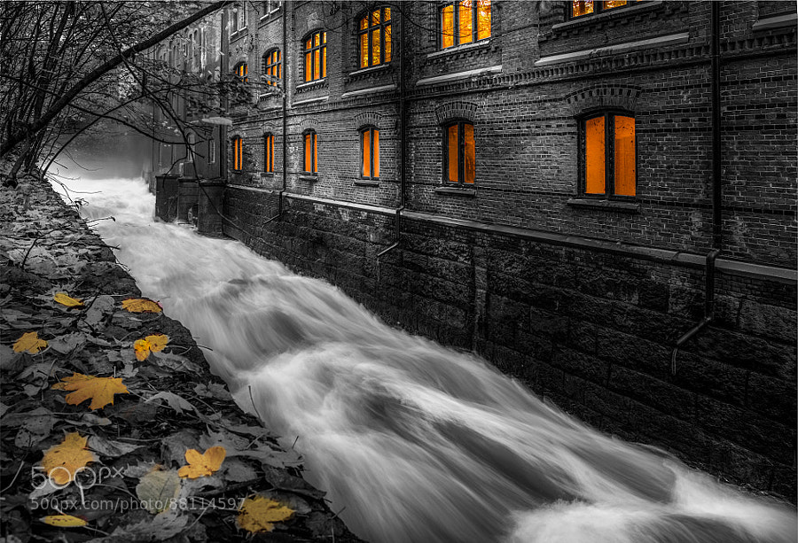 Photograph Selective river by Thomas Bjørnstad on 500px