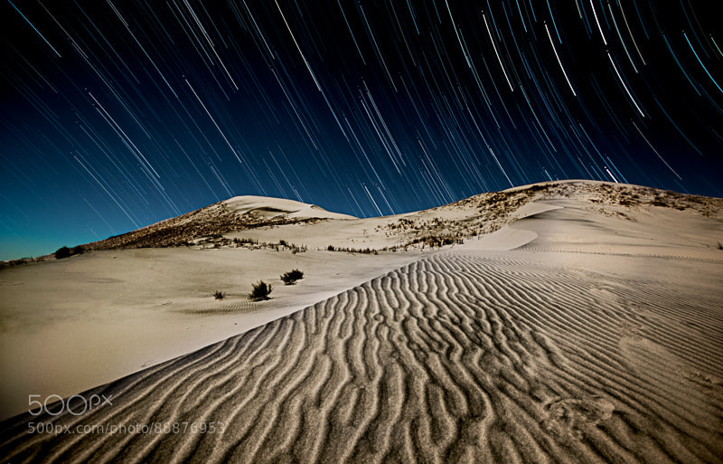 Photograph Dune Trails by tom lowe on 500px