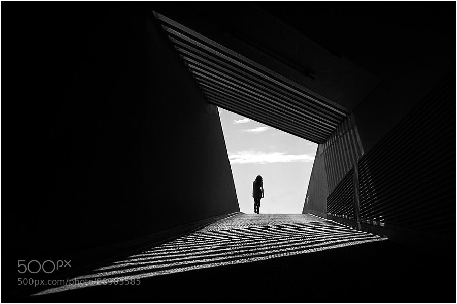Photograph into the light by Kai Ziehl on 500px