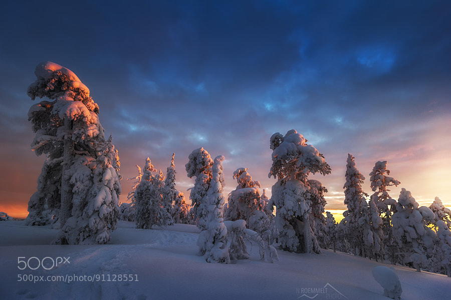Winter photography - Photograph Winter sunset by Nicholas Roemmelt on 500px