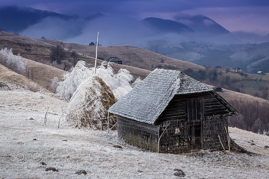 Photograph Cold Morning by Attila Szabo on 500px
