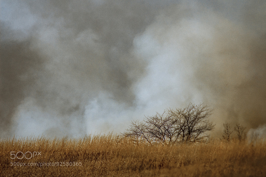 Photograph Smoke from a Controlled Burn by Jeff Carter on 500px