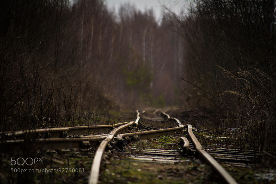 Photograph Railway to nowhere by Ivars Arins on 500px