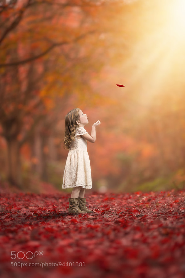 Photograph Beauty of Nature by Rob Buttle Photography on 500px