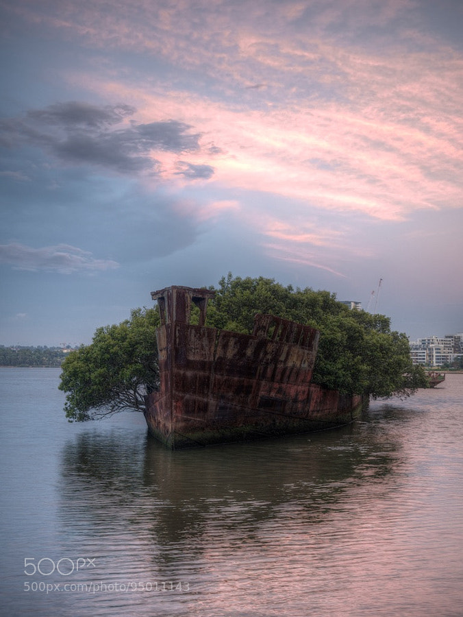 Photograph The Wreck at Homebush Bay by Des Paroz on 500px